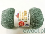 Włóczka Everyday Lux Trend Himalaya 21803