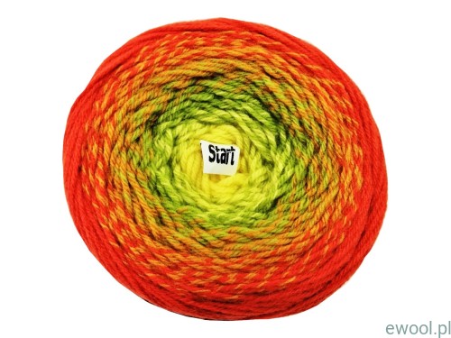 Włóczka Flowers Merino YarnArt kolor 539