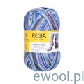 Włóczka Regia Design Line 4-ply kolor 03881