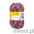 Włóczka Regia Design Line 4-ply kolor 03882