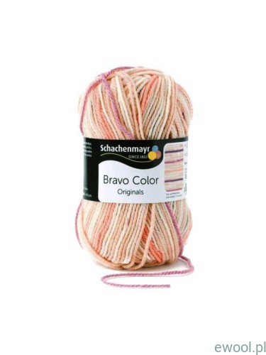 Włóczka Bravo Color  02106