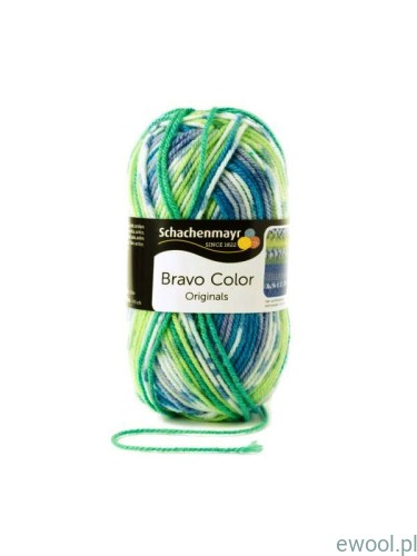 Włóczka Bravo Color  02080