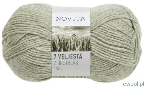 Włóczka 7 Veljesta  047
kolor Lichen