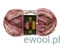 Włóczka Socks Himalaya kolor 160-01