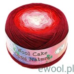 Włóczka Wool Cake Opus kolor 22