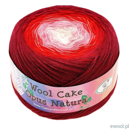 Włóczka Wool Cake Opus kolor 22
