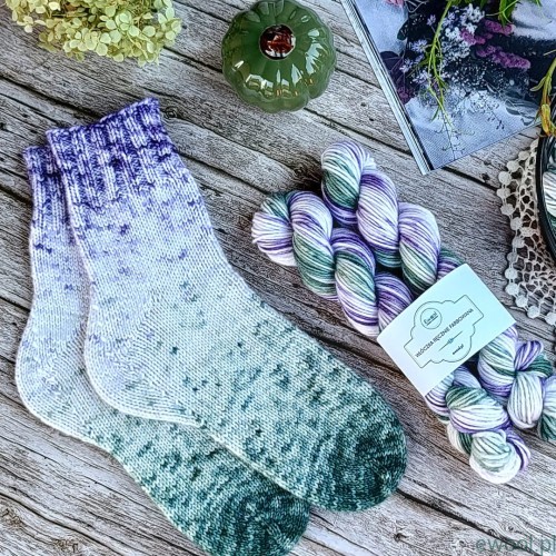 Włóczka skarpetkowa ręcznie farbowana Twin Skeins kolor 2886