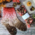Włóczka skarpetkowa ręcznie farbowana Twin Skeins kolor 2887