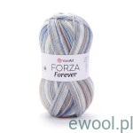 Włóczka Forza Forever YarnArt kolor 2713