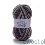 Włóczka Forza Forever YarnArt kolor 2701