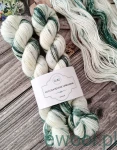 Włóczka skarpetkowa ręcznie farbowana Twin Skeins kolor 3411 410m/100g