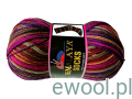 Włóczka skarpetkowa Socks 140-04.png